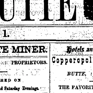 other Newspaper clipping from Aug 22, 1876 5616671