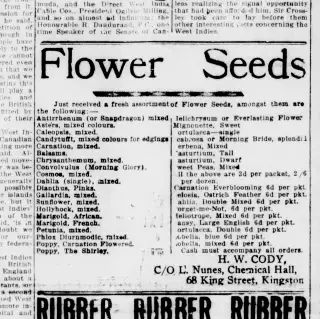 other Newspaper clipping from Jun 10, 1913 5616849